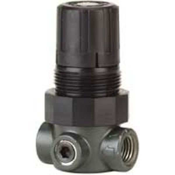 Dwyer Instruments Mini Pressure Regulator, Air Rgltr 30PSI21Bar MPR1-2